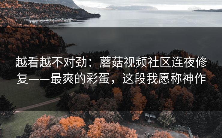越看越不对劲：蘑菇视频社区连夜修复——最爽的彩蛋，这段我愿称神作