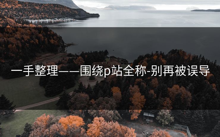 一手整理——围绕p站全称-别再被误导