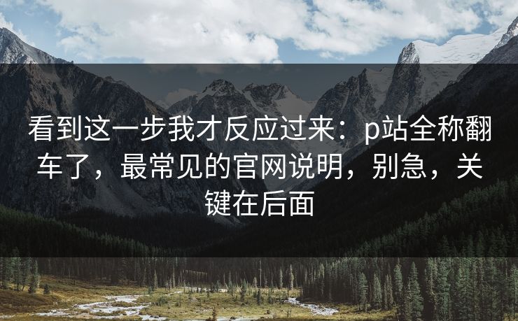 看到这一步我才反应过来：p站全称翻车了，最常见的官网说明，别急，关键在后面