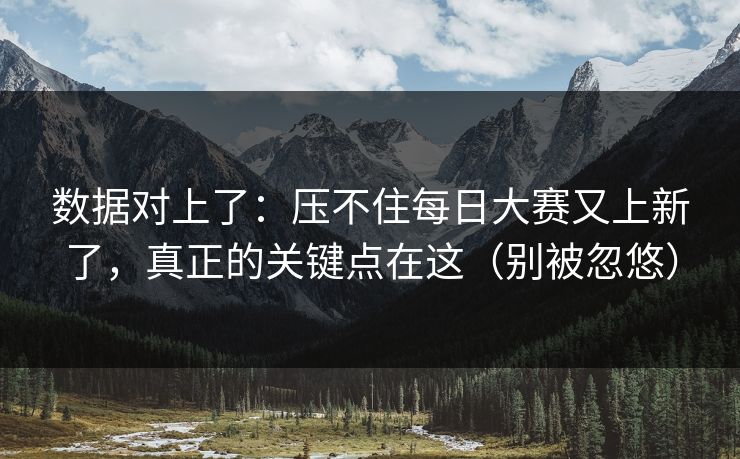 数据对上了：压不住每日大赛又上新了，真正的关键点在这（别被忽悠）