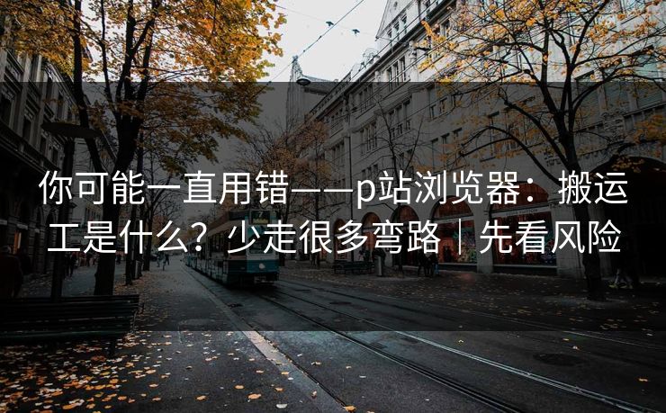 你可能一直用错——p站浏览器：搬运工是什么？少走很多弯路｜先看风险