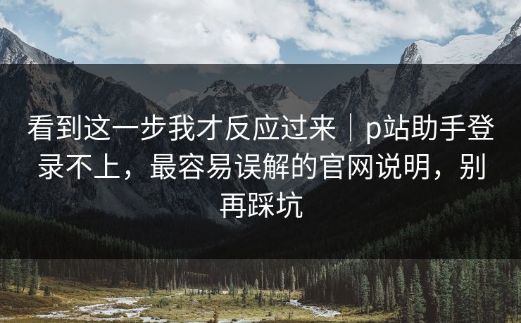 看到这一步我才反应过来｜p站助手登录不上，最容易误解的官网说明，别再踩坑
