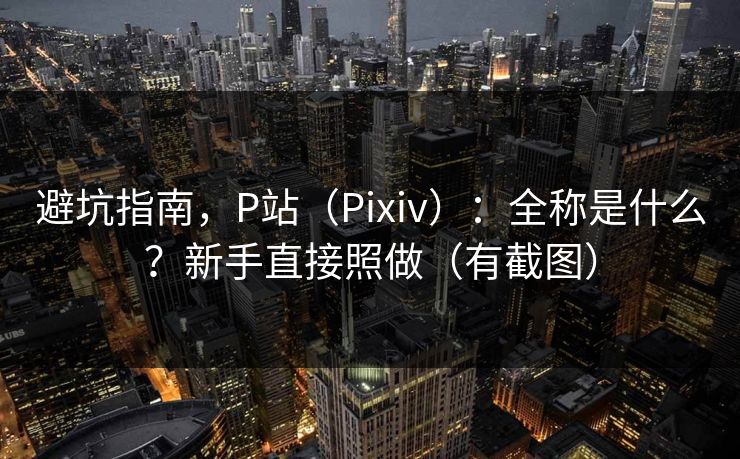 避坑指南，P站（Pixiv）：全称是什么？新手直接照做（有截图）