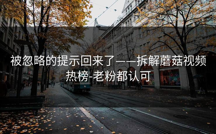 被忽略的提示回来了——拆解蘑菇视频热榜-老粉都认可