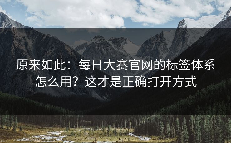 原来如此：每日大赛官网的标签体系怎么用？这才是正确打开方式