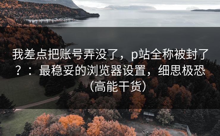 我差点把账号弄没了，p站全称被封了？：最稳妥的浏览器设置，细思极恐（高能干货）