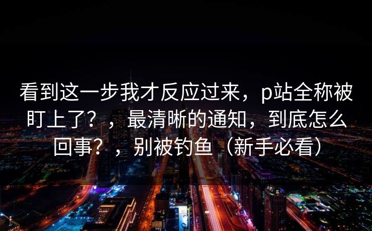 看到这一步我才反应过来，p站全称被盯上了？，最清晰的通知，到底怎么回事？，别被钓鱼（新手必看）