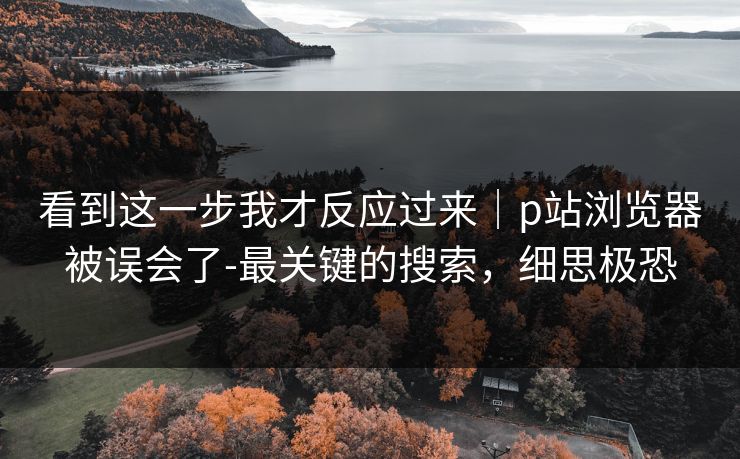 看到这一步我才反应过来｜p站浏览器被误会了-最关键的搜索，细思极恐