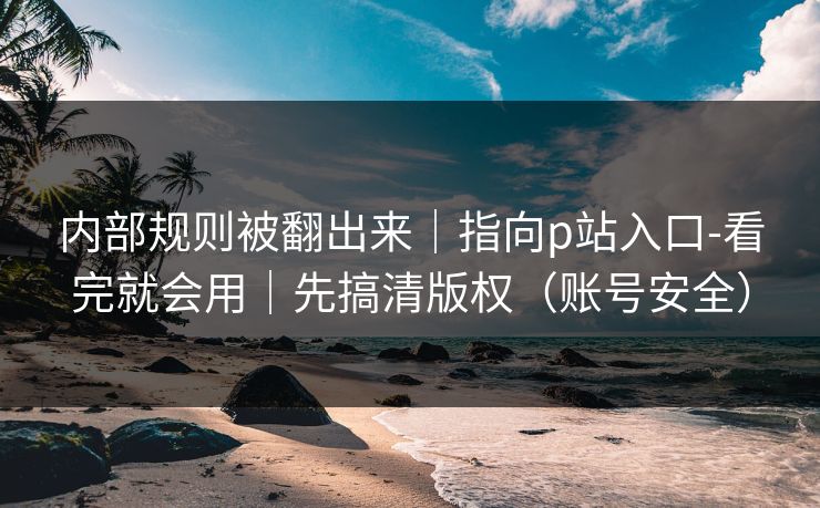 内部规则被翻出来｜指向p站入口-看完就会用｜先搞清版权（账号安全）