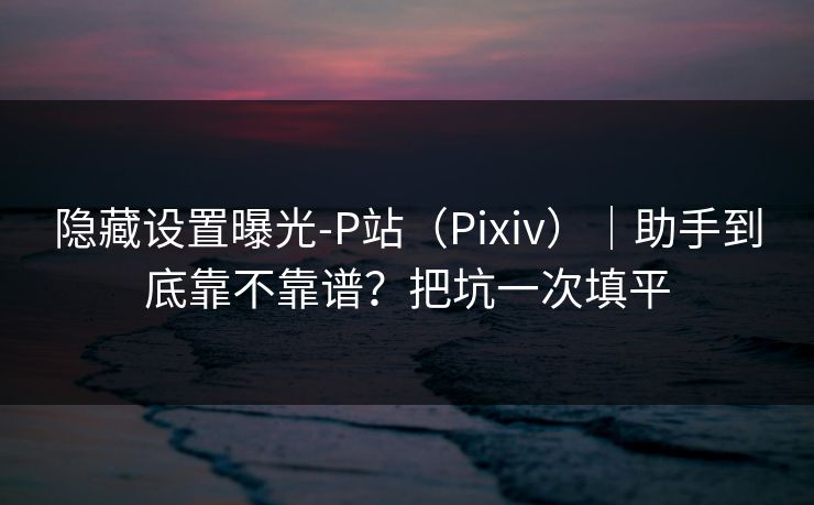 隐藏设置曝光-P站（Pixiv）｜助手到底靠不靠谱？把坑一次填平