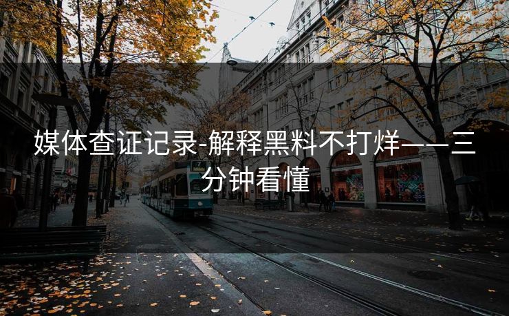 媒体查证记录-解释黑料不打烊——三分钟看懂