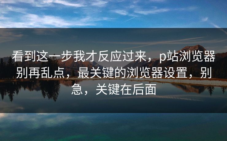 看到这一步我才反应过来，p站浏览器别再乱点，最关键的浏览器设置，别急，关键在后面